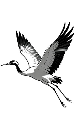 飞翔的鹤鸟黑白插画图片