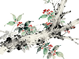 水墨画树枝红果绿叶图片