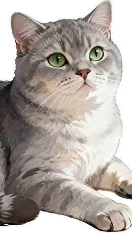 灰色猫咪绿眼凝视图片