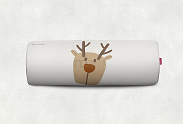 眼镜盒样机-正面