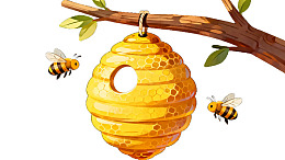 蜂巢悬挂树枝蜜蜂飞舞