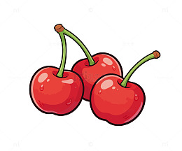 新鲜果实樱桃