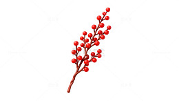 红果枝条装饰图案