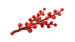 红色果实枝条装饰素材
