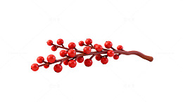红色浆果枝条装饰素材