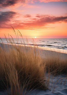 海滩日出风景摄影图