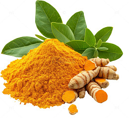 姜黄粉与姜根叶展示图