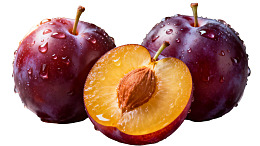 新鲜紫红色李子带水珠