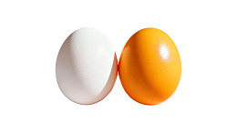 白橙双蛋并排静置于白底