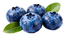 新鲜蓝莓带绿叶水珠图片