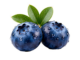 两颗带叶蓝莓水珠晶莹