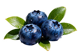 三颗蓝莓带绿叶水珠图片