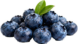 新鲜蓝莓带绿叶图片