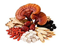 多种中药材组合展示图片
