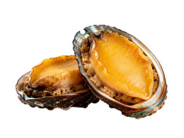 新鲜鲍鱼特写展示图片