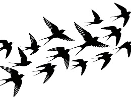 一群飞翔的燕子剪影图片