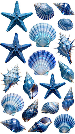 蓝色海星与贝壳的海洋主题图案