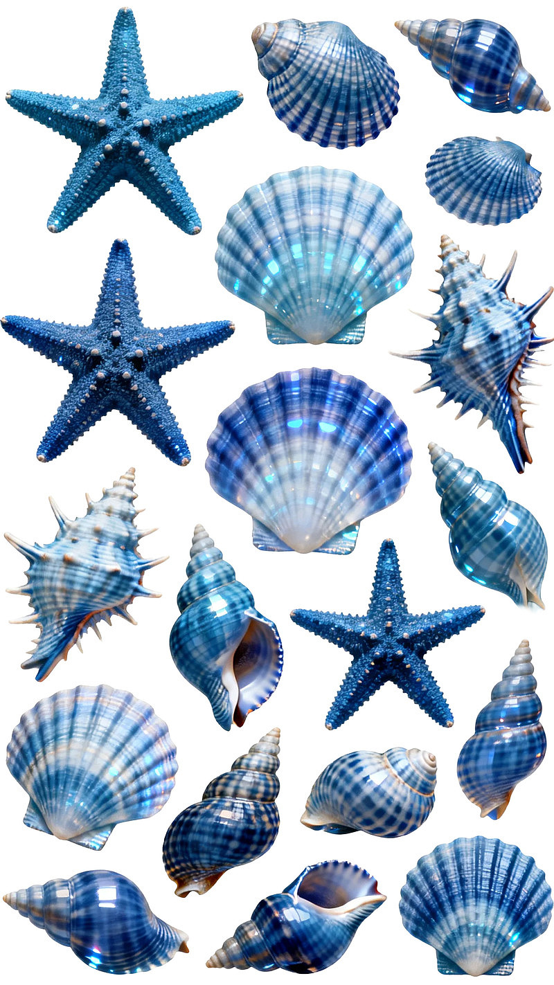 蓝色海星与贝壳的海洋主题图案