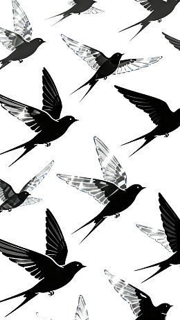 黑白飞鸟图案设计图片