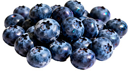 新鲜蓝莓特写图片