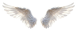 一对展开的白色天使翅膀
