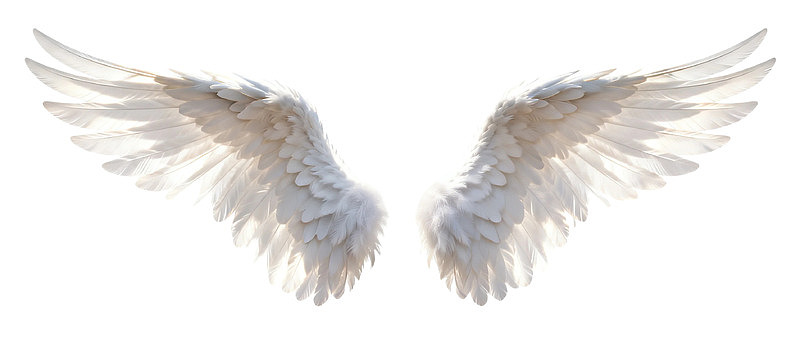 一对展开的白色天使翅膀