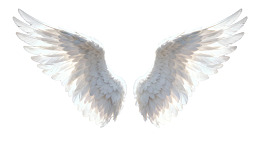 洁白天使羽翼展翅图片