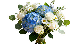 蓝白相间的优雅花束图片