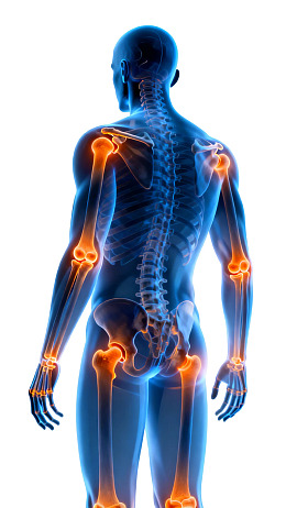 人体骨骼关节疼痛示意图