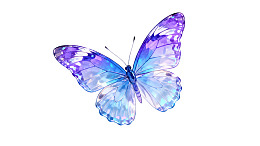 紫色蓝色渐变蝴蝶特写