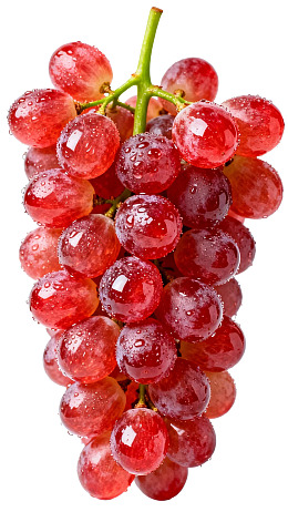 晶莹剔透的红葡萄簇图片