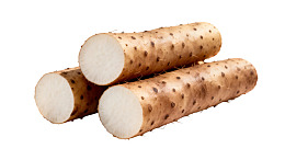 三根切面山药根茎图片