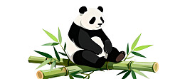 熊猫坐竹枝上图片