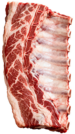 新鲜带骨牛肋排特写图片