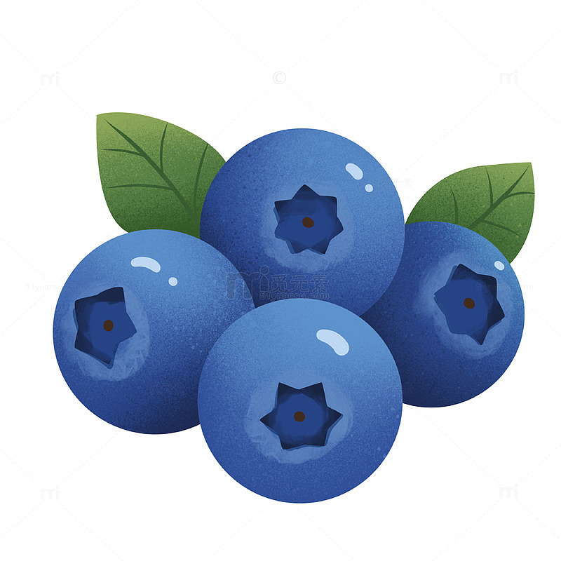 简约水果蓝莓