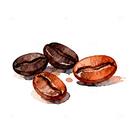 水彩咖啡豆手绘插画素材