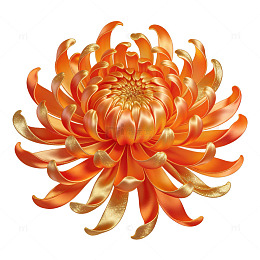 绚丽菊花插画素材