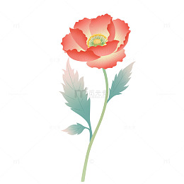 虞美人插图简约风格素材