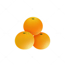 新鲜橙子水果插画设计素材