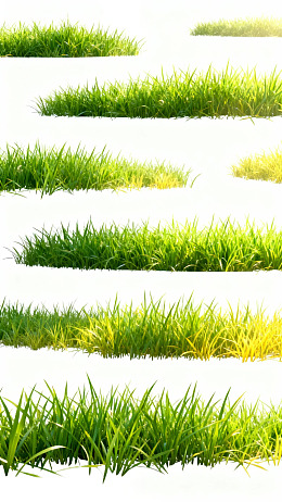多组绿色草地的特写展示