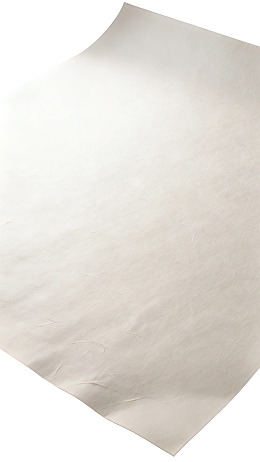 一张倾斜放置的白色纸张