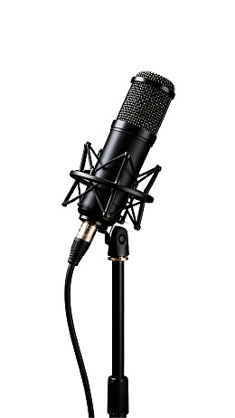 黑色专业麦克风置于支架上