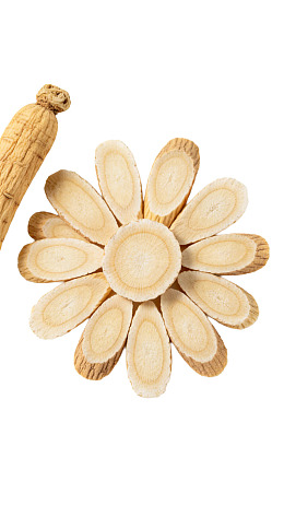 人参切片呈花朵状排列