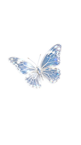 蓝色蝴蝶静止于白色背景