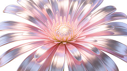 粉色花瓣绽放的花朵特写