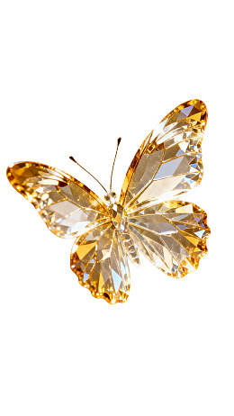 水晶质感蝴蝶装饰品图片