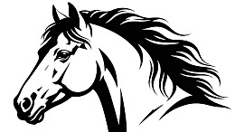 黑白线条马头侧面图图片