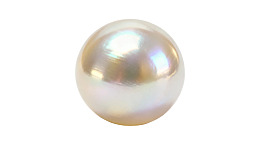 一颗光滑的珍珠在白色背景上