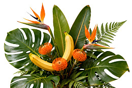 热带植物花艺组合图片