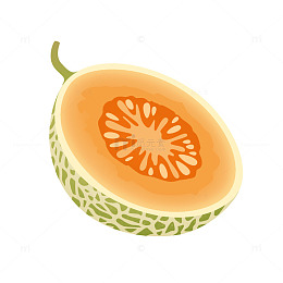 卡通风格哈密瓜插画素材